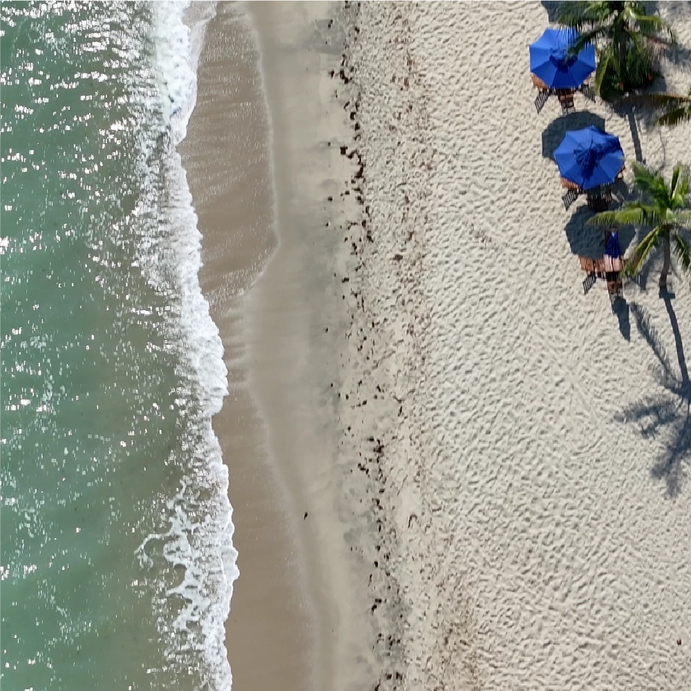 Pequenas transformações, grandes impactos
