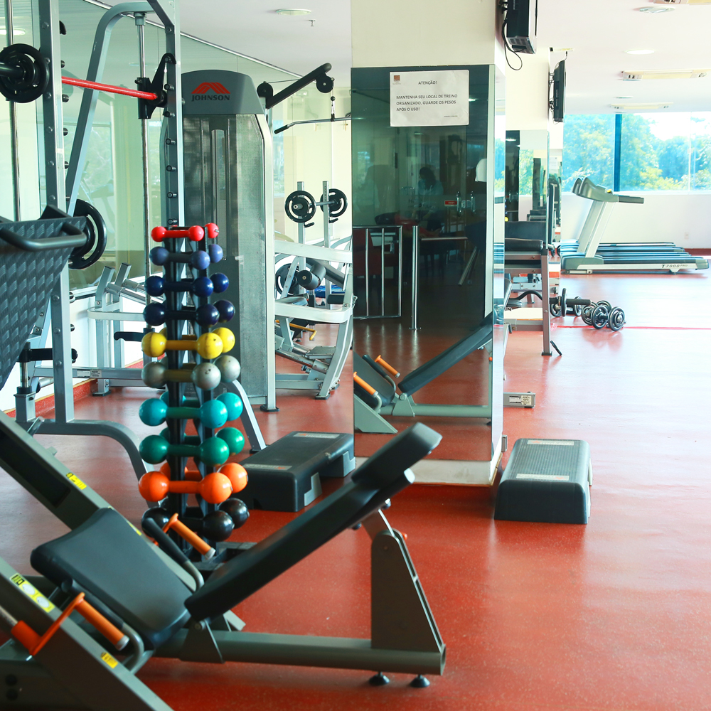 <p>Mantenha sua rotina de <strong>exercícios</strong></p>
