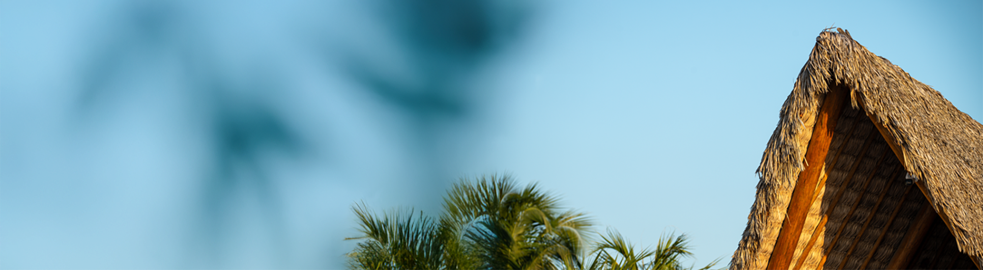 <p>Arrey Hotels: conforto, qualidade e história em cada estadia.</p>
