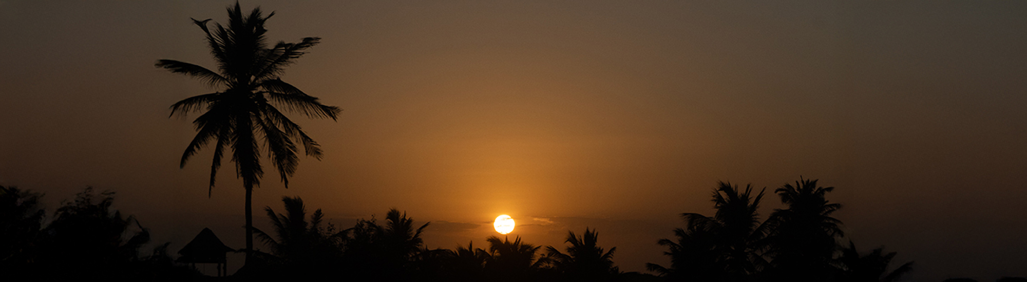 <p>Histórias, dicas e experiências para você se sentir em casa</p>
