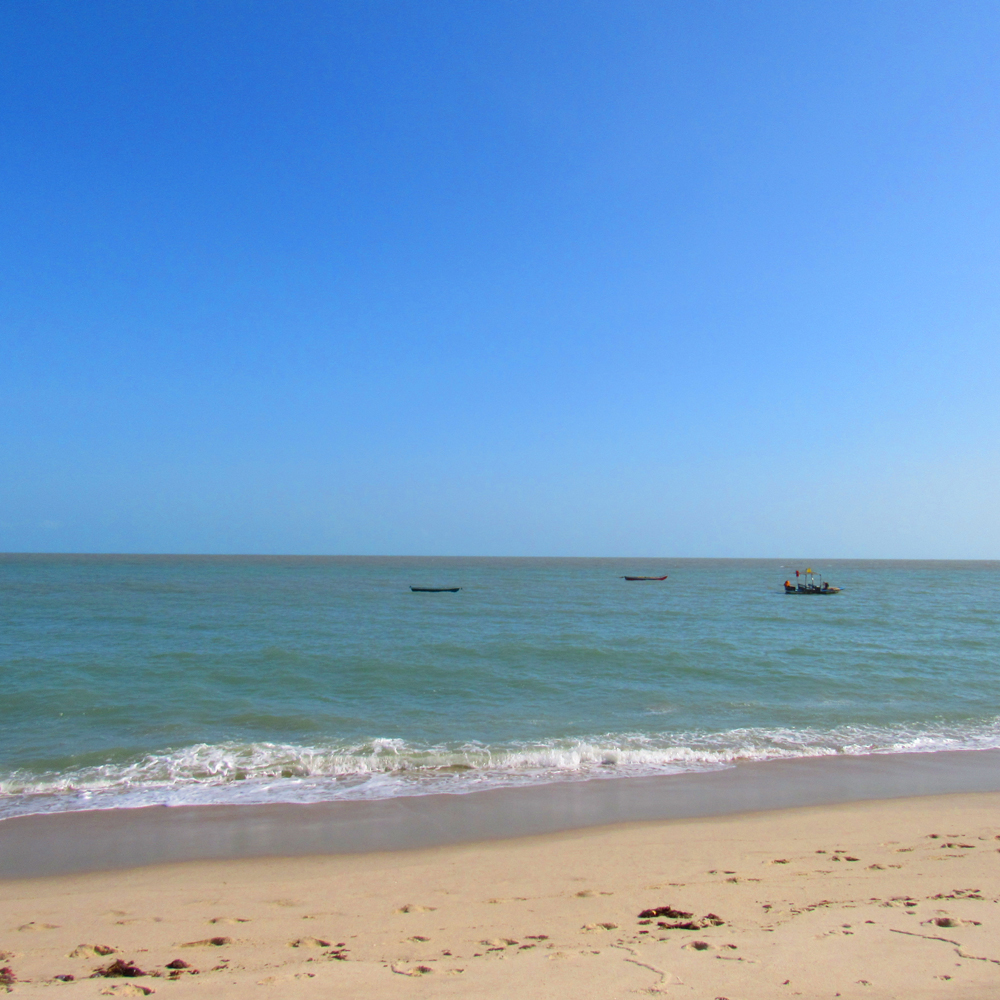 <p>Soluções para reduzir impactos <strong>ambientais</strong></p>
