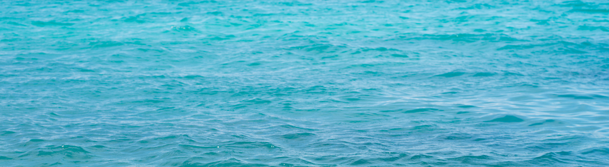 <p>Cuidar do planeta faz parte da nossa rotina.</p>
